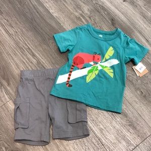 NWT Tea Collection kangaroo baby Tee and shorts 2t